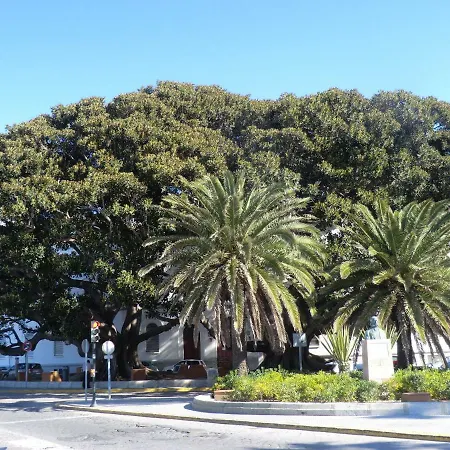 La Casa Del Dibujante Apartmán